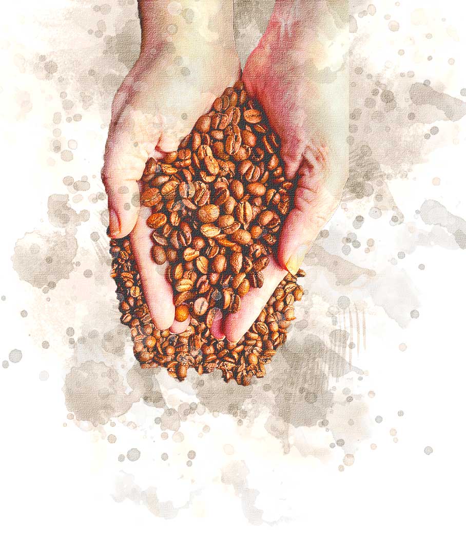 Coffee Beans Roasted to Perfection